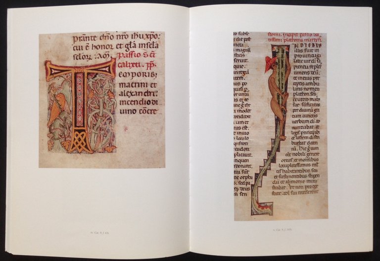 I libri di San Marco | Immagine Gallery 2