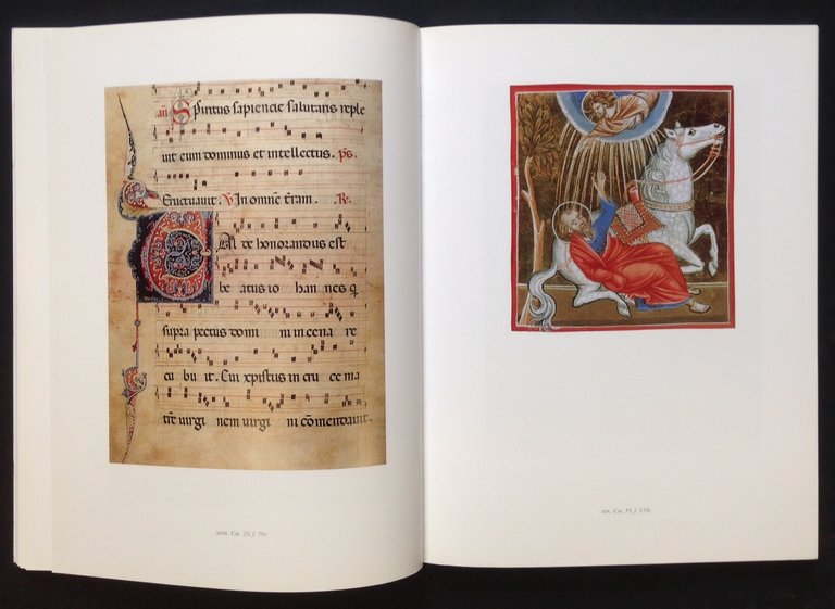 I libri di San Marco | Immagine Gallery 3