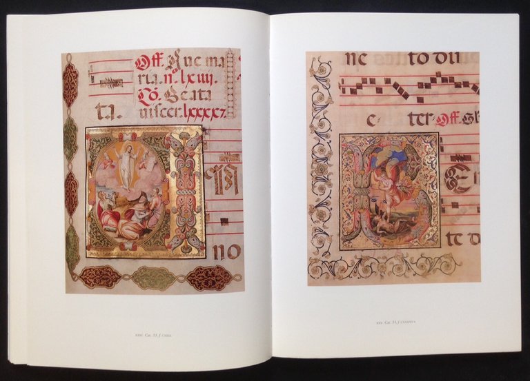 I libri di San Marco | Immagine Gallery 4