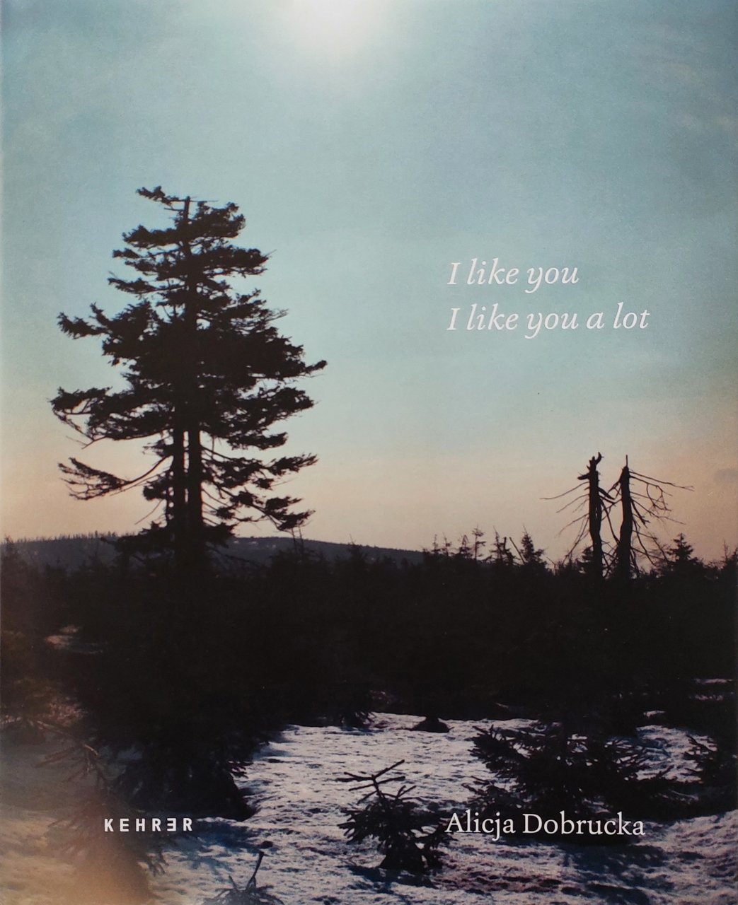 I Like You. I Like You a Lot | Immagine principale