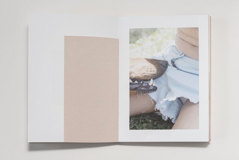 I Made Them Run Away | Immagine Gallery 4