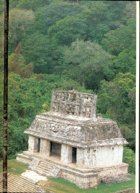 I Maya | Immagine Gallery 2