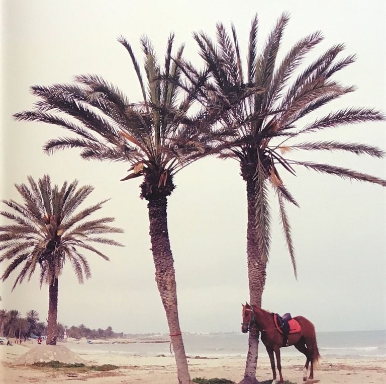iDyssey | Immagine Gallery 8