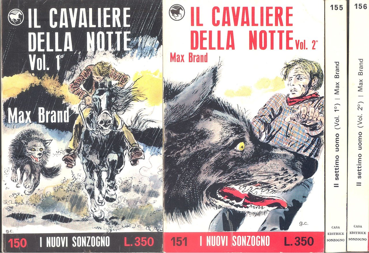 Il cavaliere della notte | Immagine principale