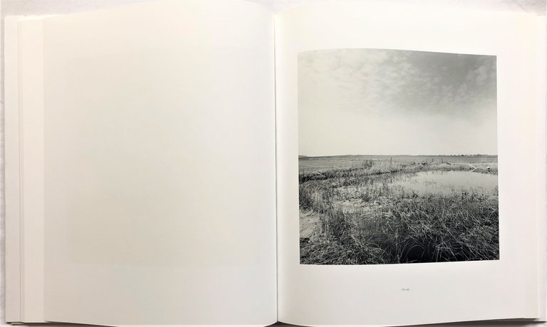 Il cerchio. Maremma 2005-2006 | Immagine Gallery 2