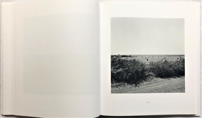 Il cerchio. Maremma 2005-2006 | Immagine Gallery 4