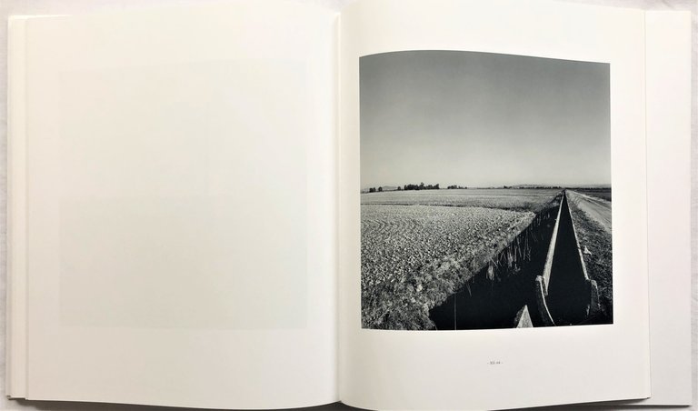 Il cerchio. Maremma 2005-2006 | Immagine Gallery 5