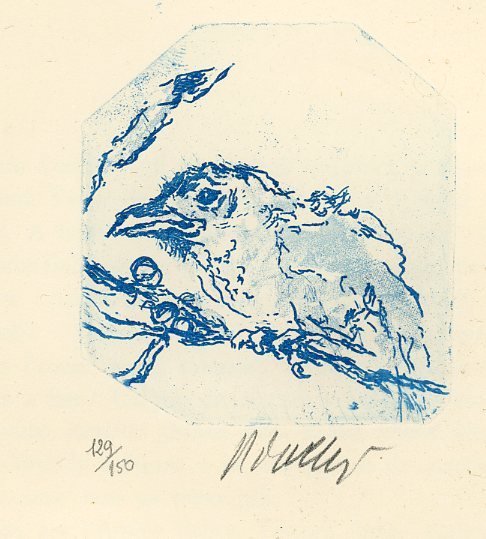 Il concerto fiorito | Immagine Gallery 3