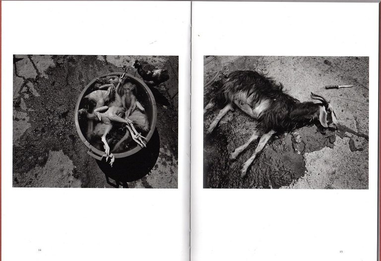 Il Giorno il Gioco il Sogno. Tre racconti brevi | Immagine Gallery 2