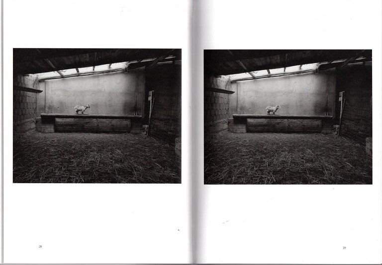 Il Giorno il Gioco il Sogno. Tre racconti brevi | Immagine Gallery 3