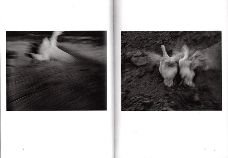 Il Giorno il Gioco il Sogno. Tre racconti brevi | Immagine Gallery 4