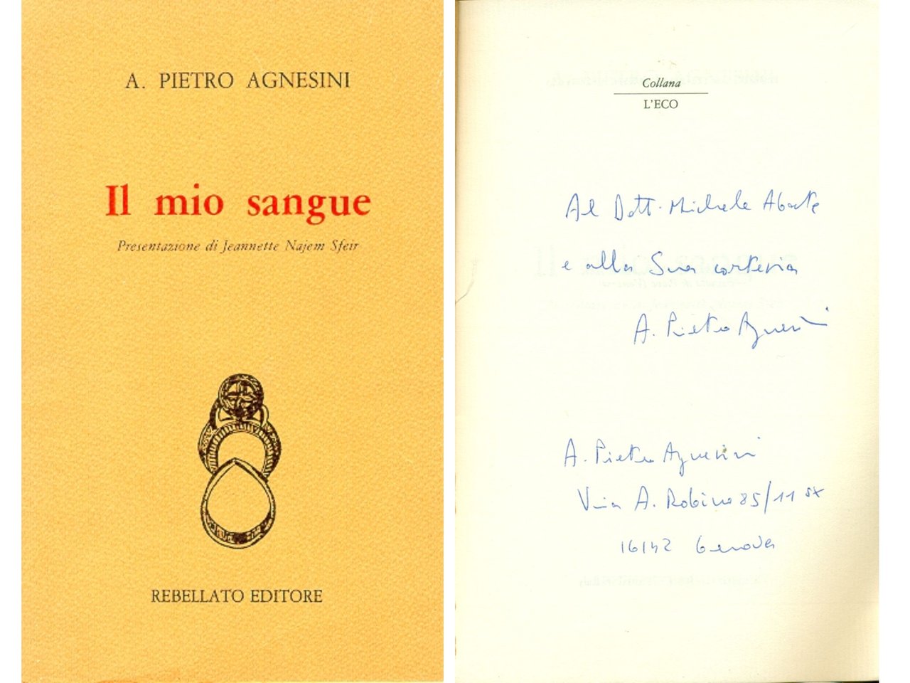 Il mio sangue | Immagine principale