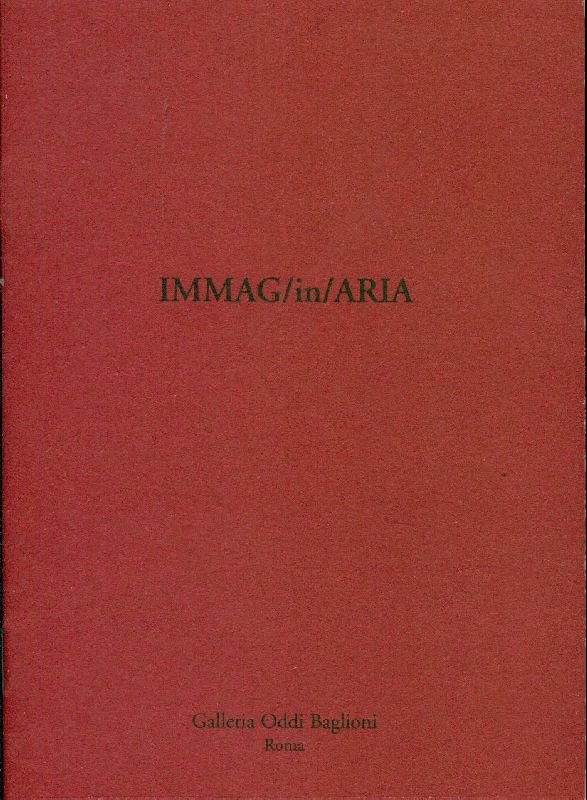 Immag/in/Aria | Immagine principale