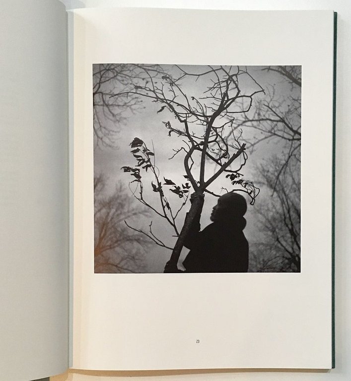 In That Land of Perfect Day | Immagine Gallery 5