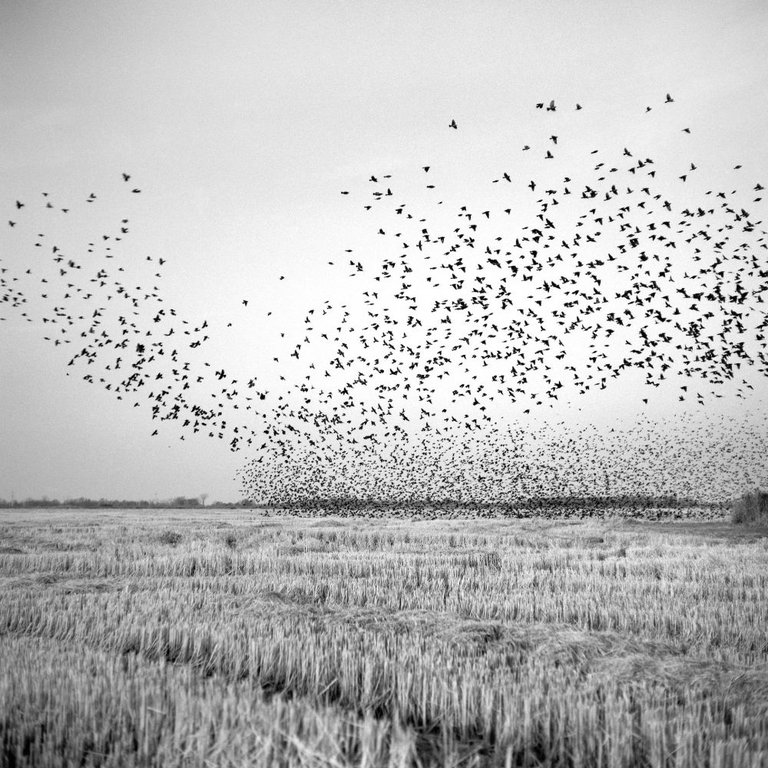 In That Land of Perfect Day | Immagine Gallery 7