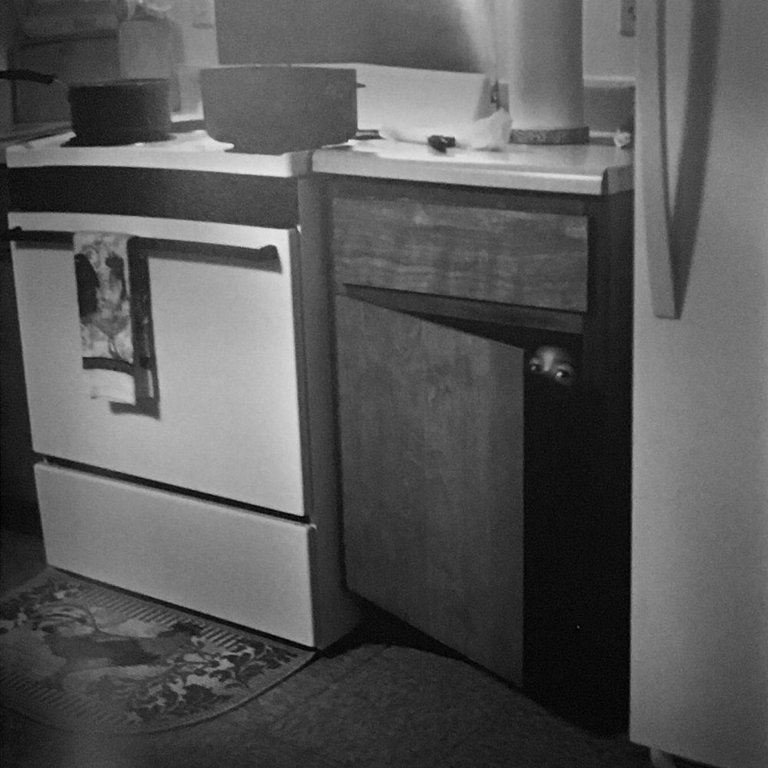 In That Land of Perfect Day | Immagine Gallery 9