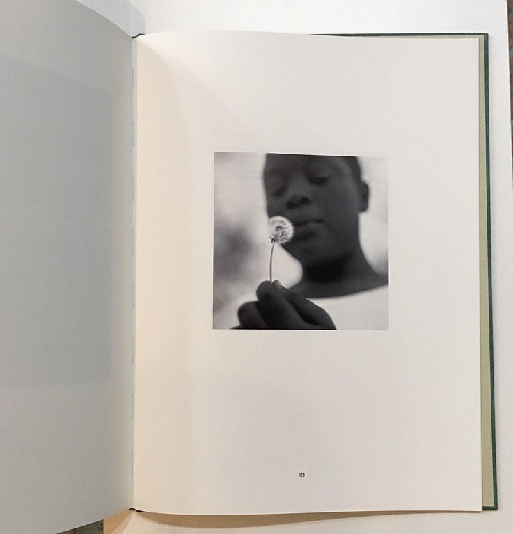 In That Land of Perfect Day | Immagine Gallery 10