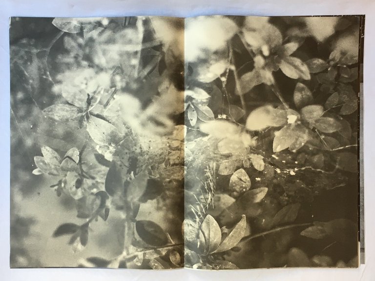 Incipient Strangers | Immagine Gallery 2