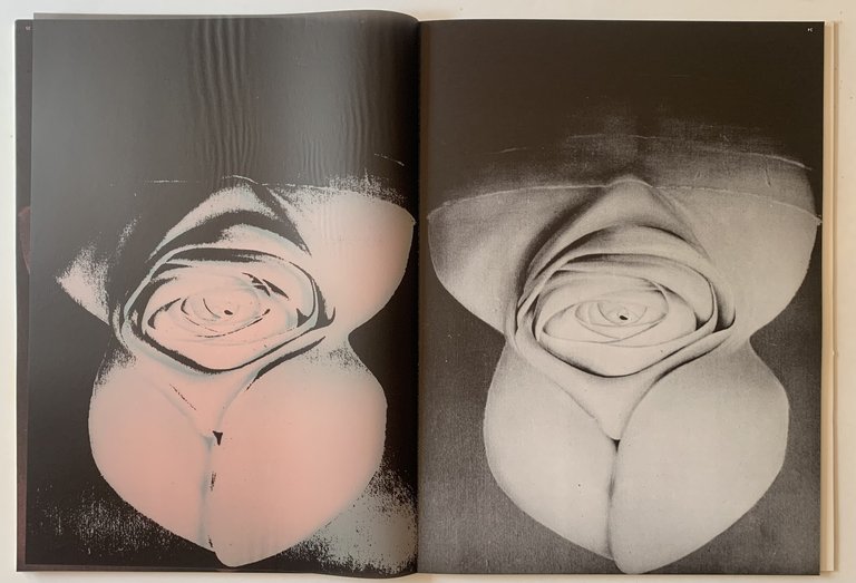 Incontro con Labisse | Immagine Gallery 4