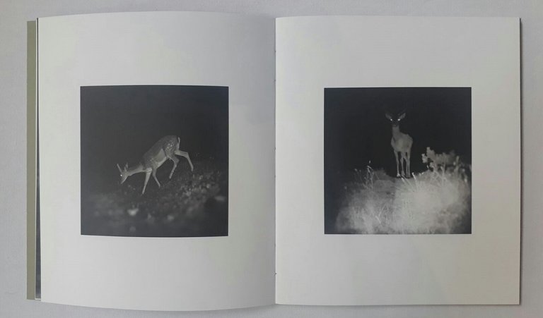 Inhabitants | Immagine Gallery 2