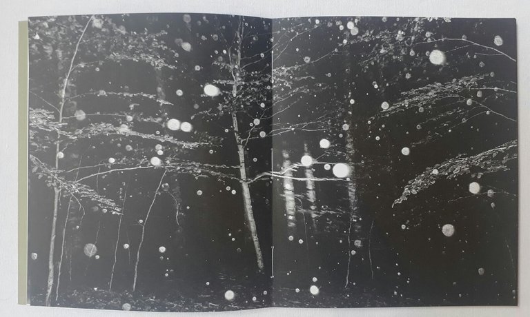 Inhabitants | Immagine Gallery 3