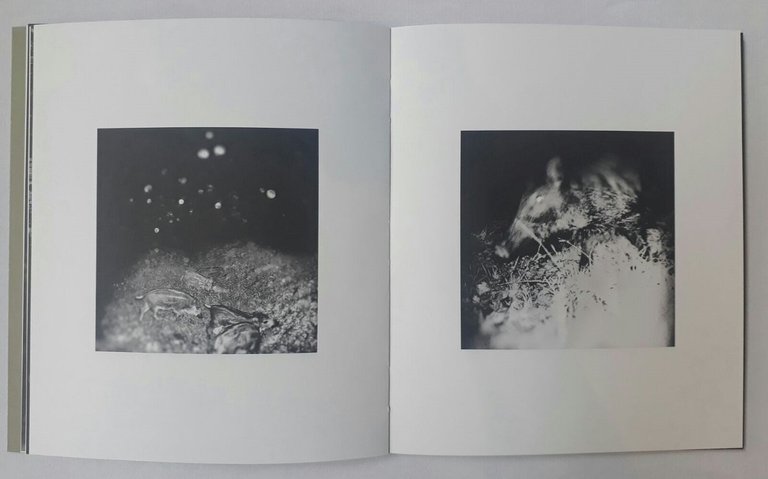 Inhabitants | Immagine Gallery 4