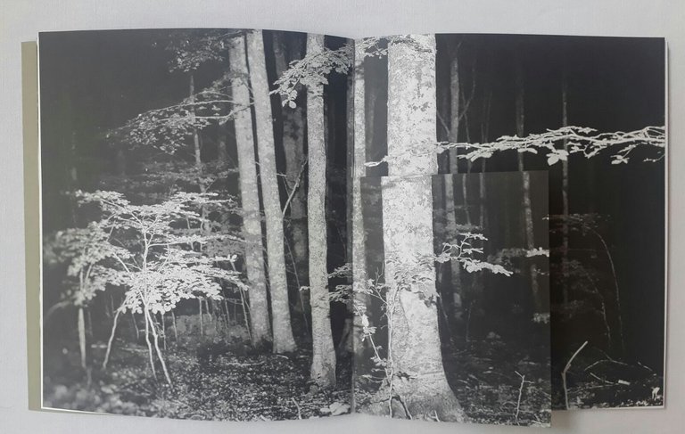 Inhabitants | Immagine Gallery 5