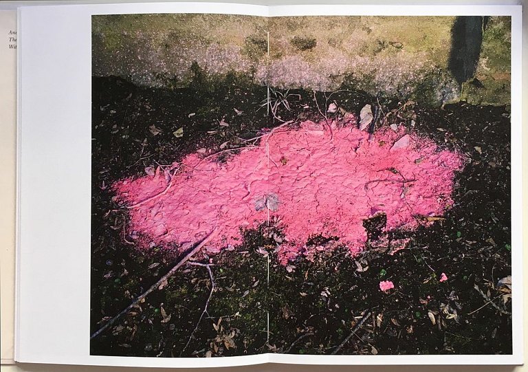 Internat | Immagine Gallery 9