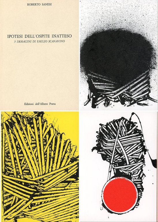 Ipotesi dell'ospite inatteso | Immagine Gallery 2