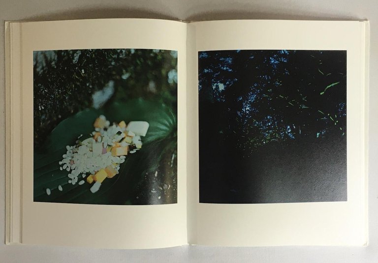 Issan | Immagine Gallery 4