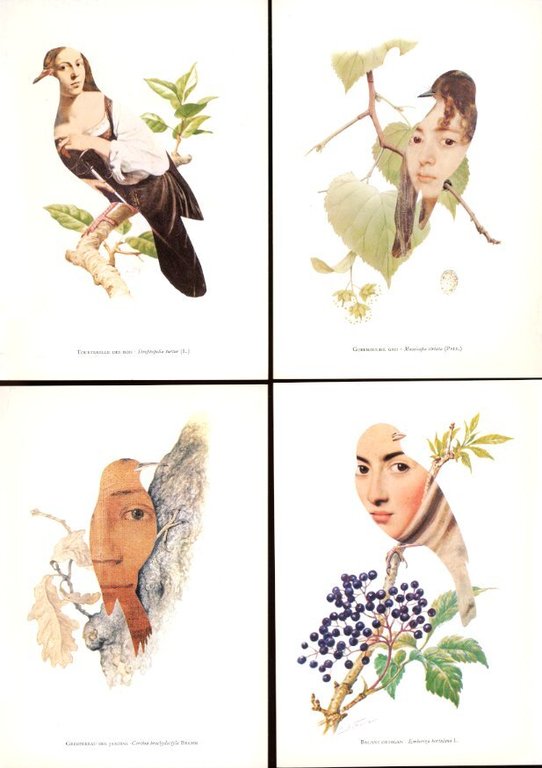 Kunstlerische Poesie / Artistic Collages / Poésie Artistique | Immagine Gallery 2