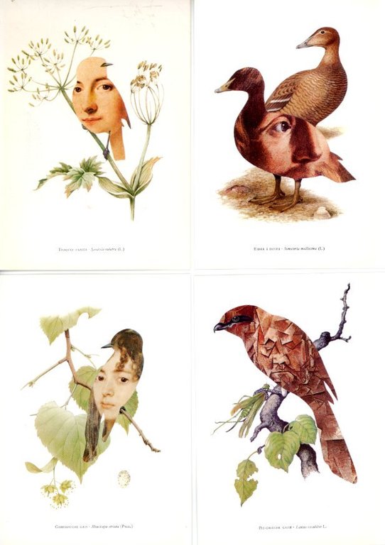 Kunstlerische Poesie / Artistic Collages / Poésie Artistique | Immagine Gallery 4