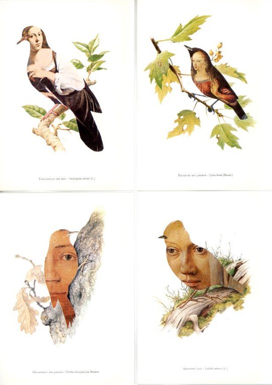 Kunstlerische Poesie / Artistic Collages / Poésie Artistique | Immagine Gallery 5