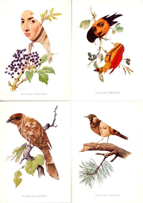 Kunstlerische Poesie / Artistic Collages / Poésie Artistique | Immagine Gallery 6