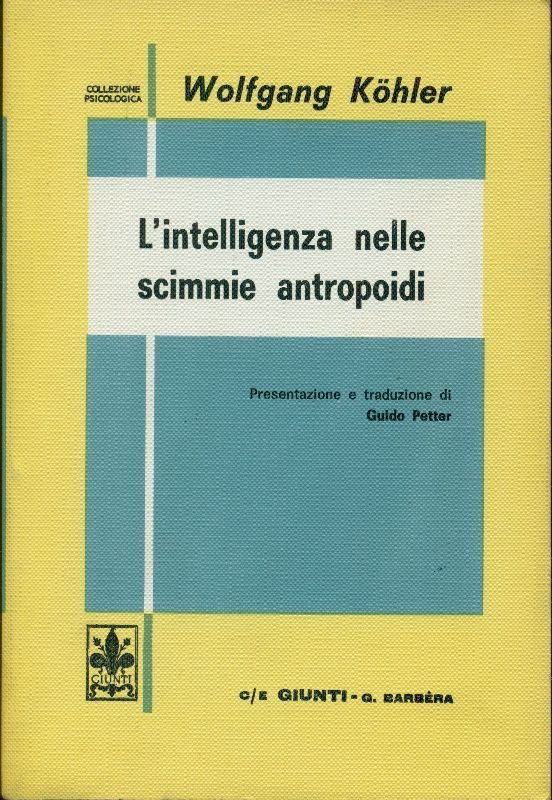 L&amp;#39;intelligenza nelle scimmie antropoidi | Immagine principale