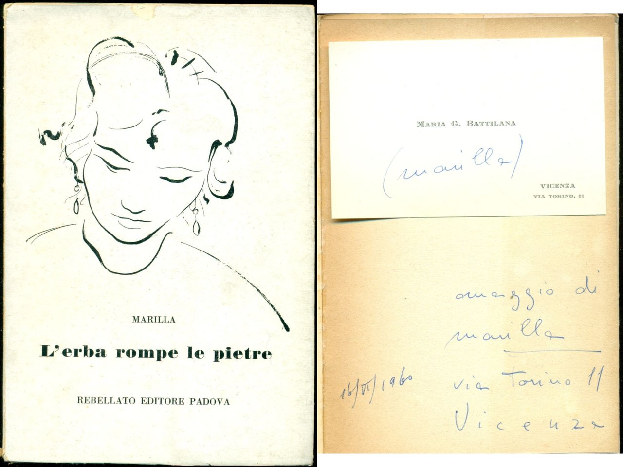 L'erba rompe le pietre | Immagine principale