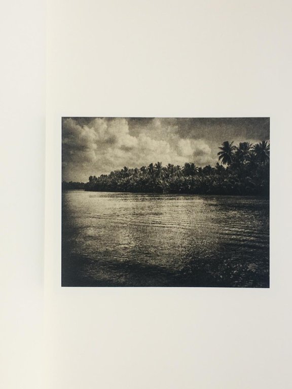 L'odore della notte era quello del gelsomino | Immagine Gallery 2