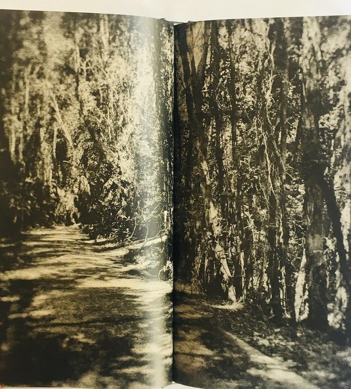 L'odore della notte era quello del gelsomino | Immagine Gallery 4