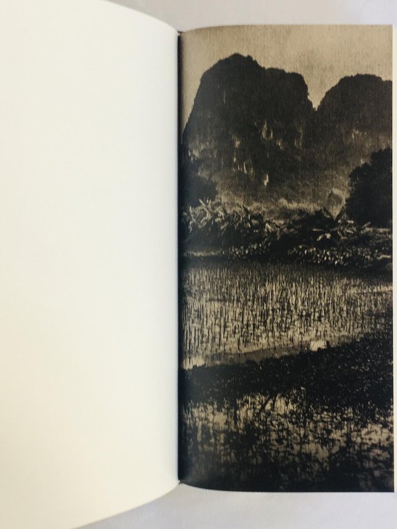 L'odore della notte era quello del gelsomino | Immagine Gallery 5