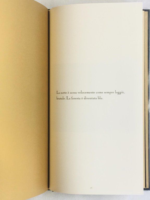 L'odore della notte era quello del gelsomino | Immagine Gallery 6