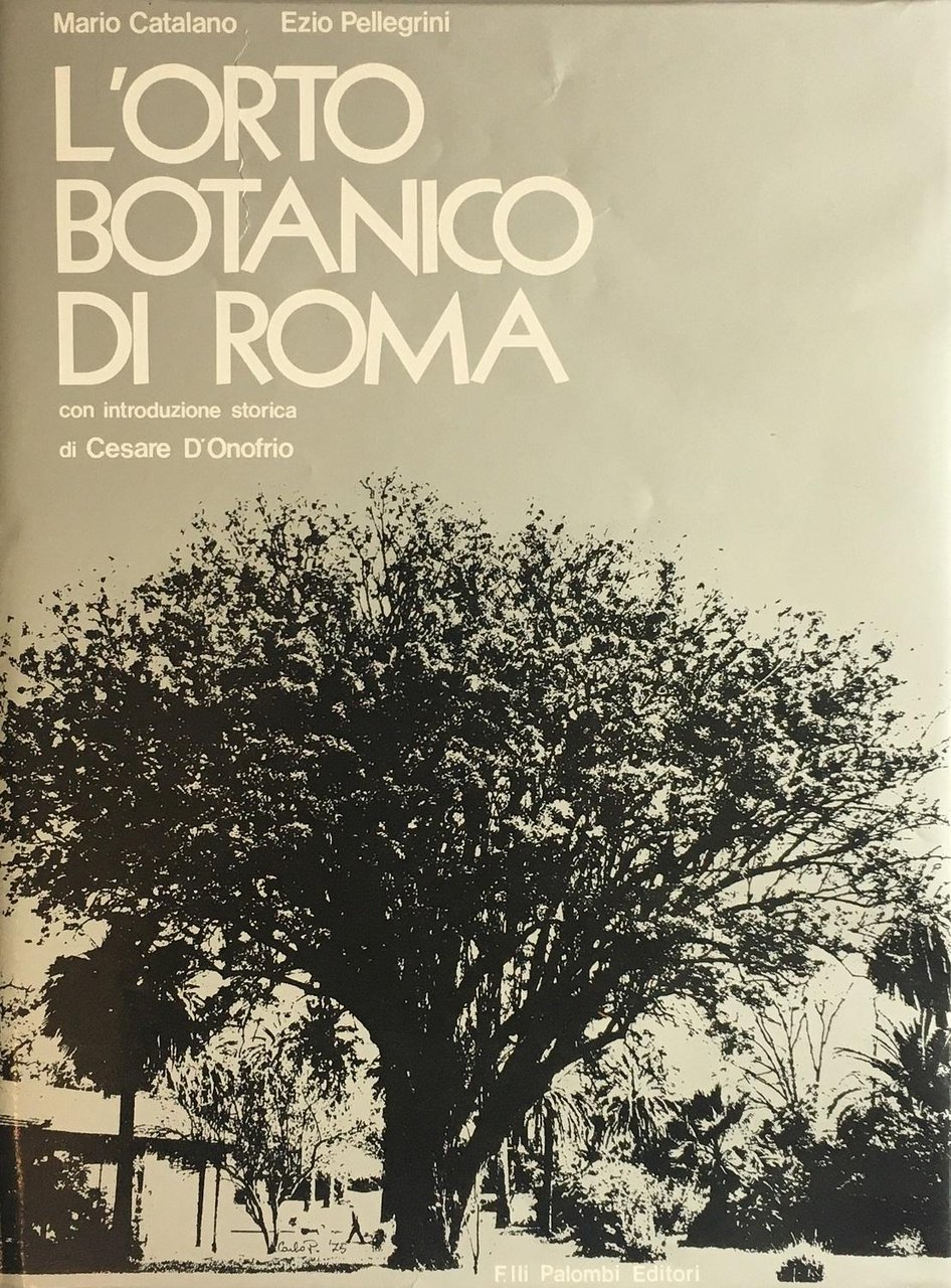 L'orto botanico di Roma | Immagine principale