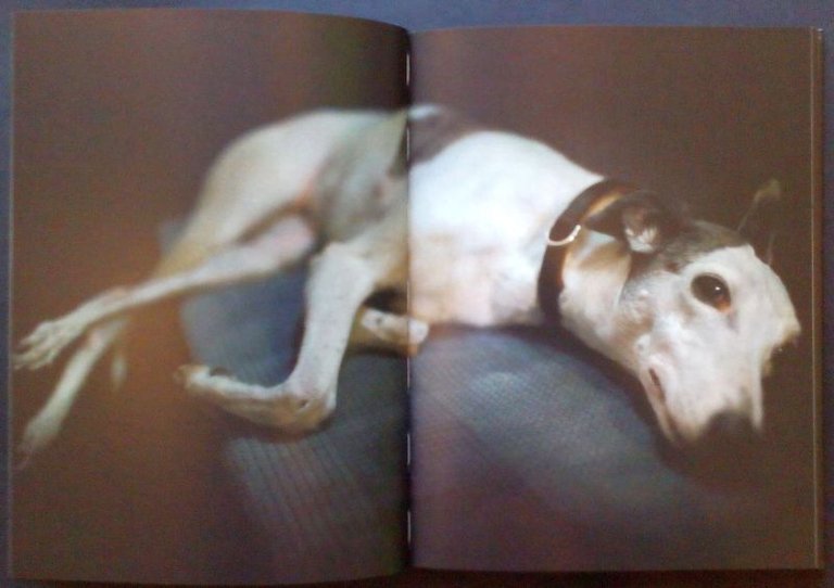 L'un l'altro | Immagine Gallery 3