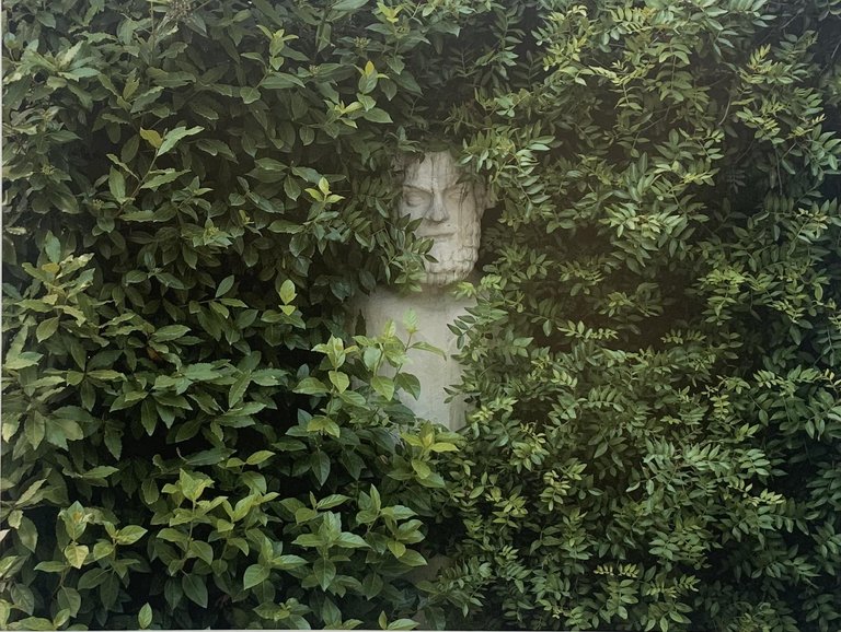 La belle dame sans merci | Immagine Gallery 5