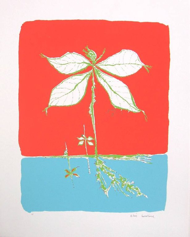 La cartullina ed altre poesie | Immagine Gallery 2