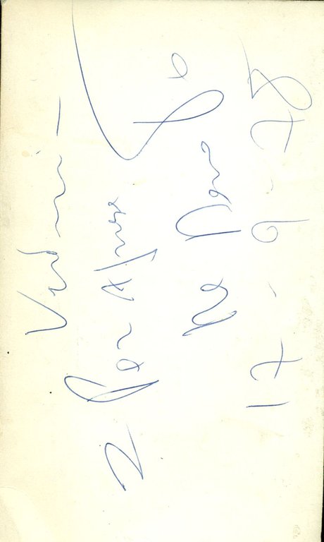 La lepre nei campi | Immagine Gallery 2