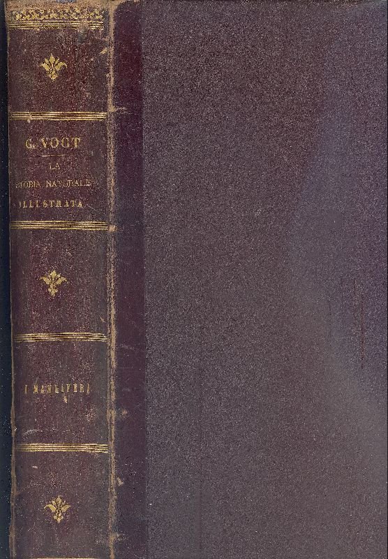 La storia naturale illustrata. I mammiferi | Immagine principale