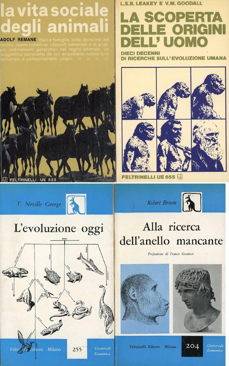 La vita sociale degli animali | Immagine principale