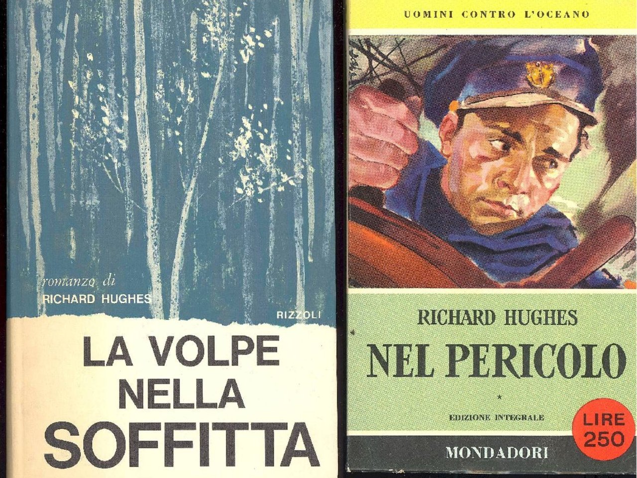 La volpe nella soffitta | Immagine principale