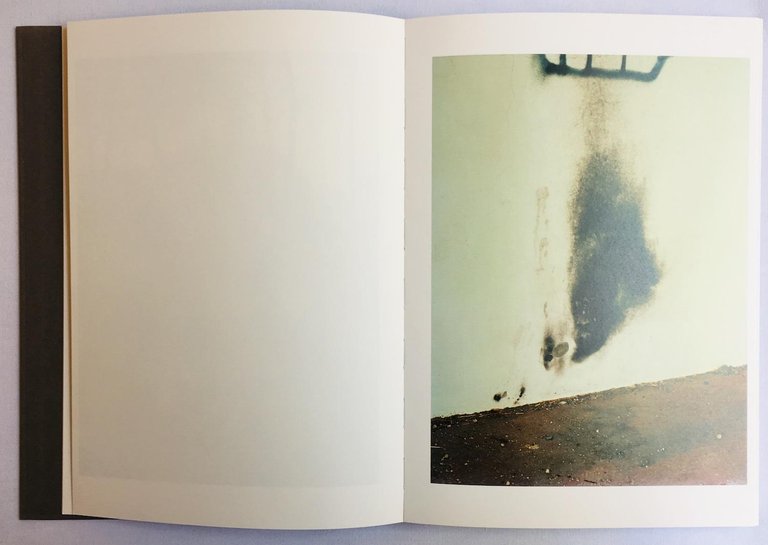 Lapa Do Lobo | Immagine Gallery 3