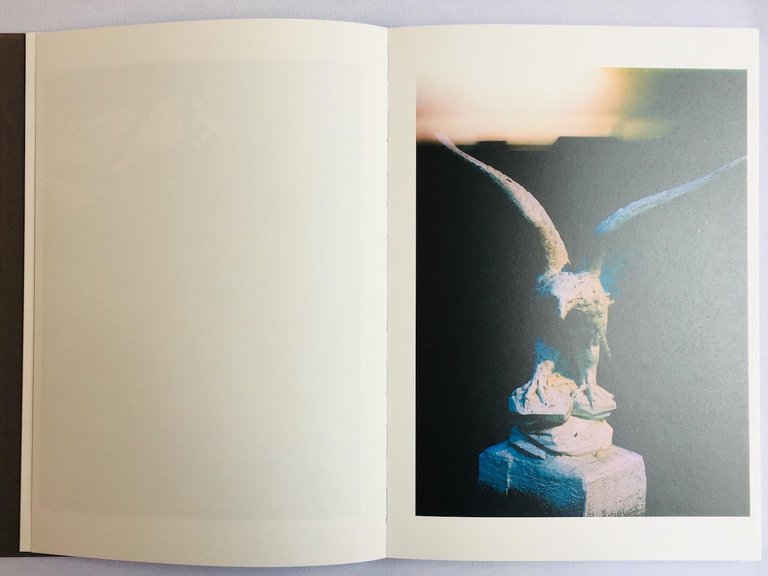 Lapa Do Lobo | Immagine Gallery 4